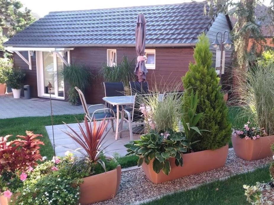 Gites Le P'Tit Paradis Du Ried Sundhouse Exterior photo